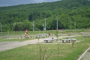 picnic20007