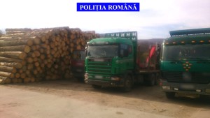 IMG-20151117-WA0002