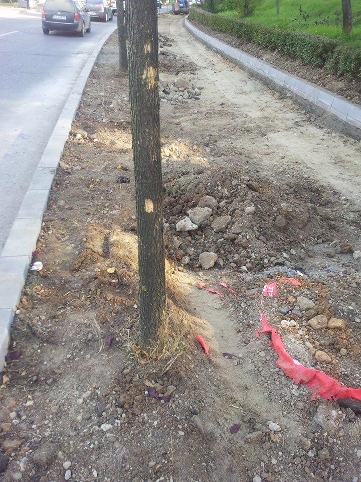 Liberalul Narcis Sofianu: Avem doi primari vitregi!