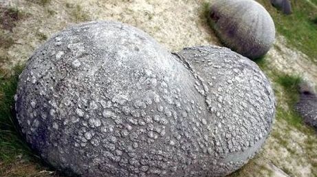 INCREDIBIL! Pietre vii care cresc şi se deplasează singure