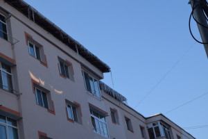 turturi 004