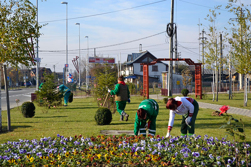 SĂ ÎNVERZIM ORAŞUL MIOVENI! CAMPANIE DE PLANTARE, SÂMBĂTĂ, 26 MARTIE!