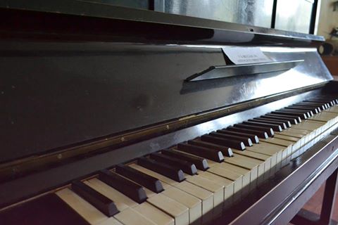 muzeu