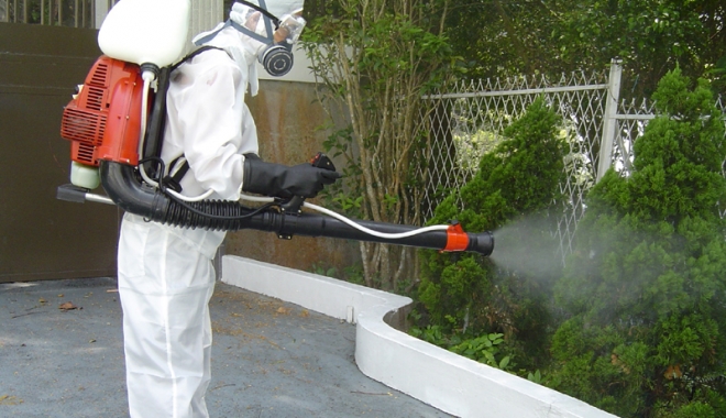 Atenţie! Se stropeşte cu insectricid în Piteşti!