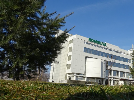 Romsilva, anunţ de ULTIM MOMENT privind tăierile ILEGALE de păduri