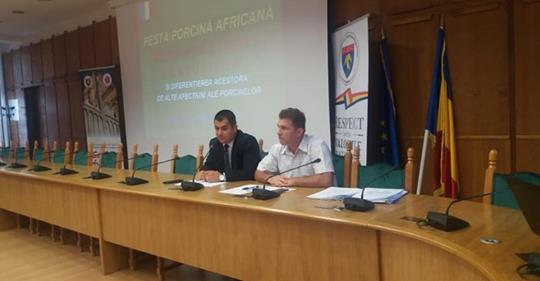 Dezbatere despre pericolul pestei porcine la Argeş,  cu reprezentanții Prefecturii