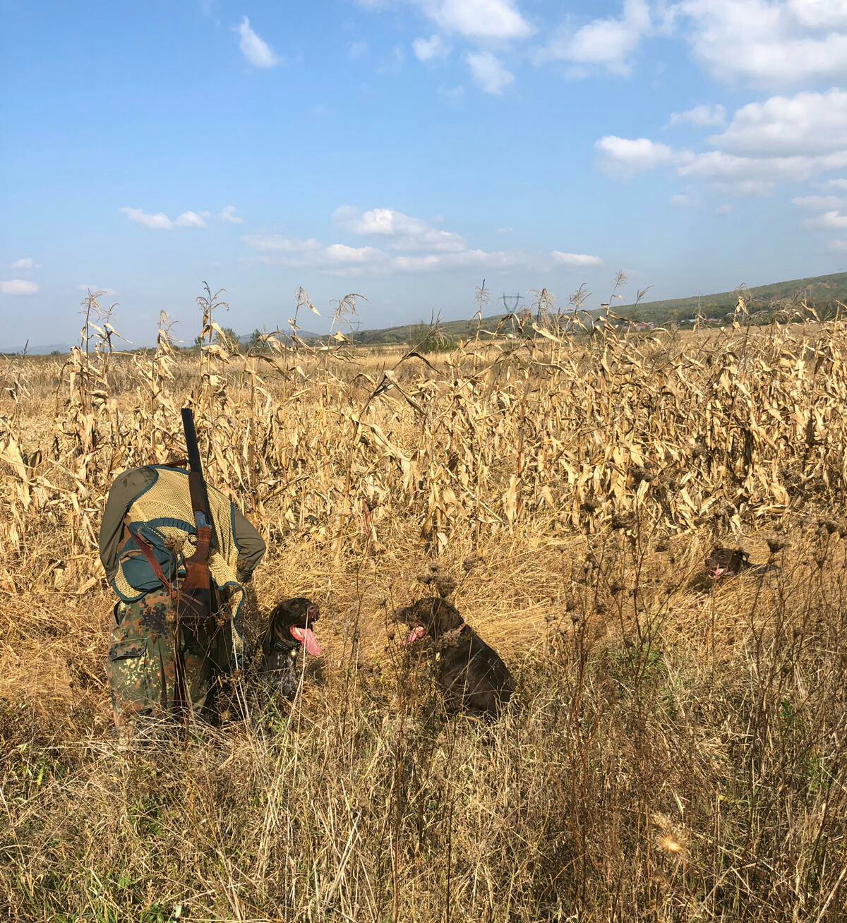 Braconieri opriţi de jandarmii argeşeni