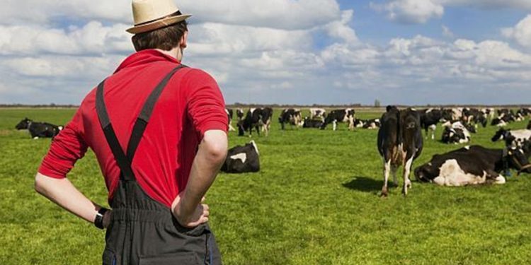 Bani de la stat pentru micii fermieri