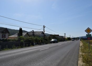 La Schitu Goleşti se sărbătoreşte Ziua Diasporei