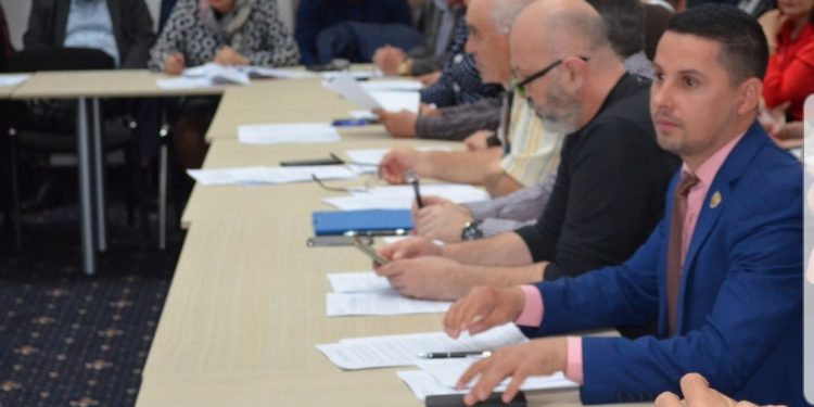 Ionuţ Olariu, proiect pentru un Piteşti mai puţin poluat