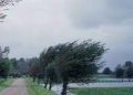 Avertizare meteo de vânt puternic în Argeş
