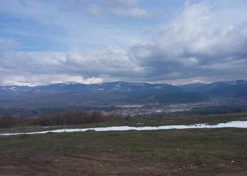 Licitaţie pentru păşuni din Arefu
