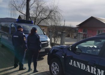 Jandarmii au dat iama în hoţii de curent din Merișani