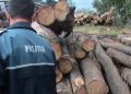 Firmă sancționată pentru nereguli privind expedierea materialului lemnos