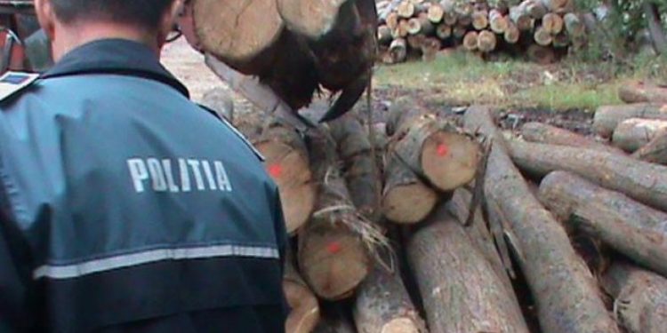 Firmă sancționată pentru nereguli privind expedierea materialului lemnos