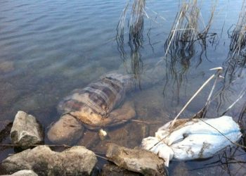 Cadavru descoperit pe lacul Prundu