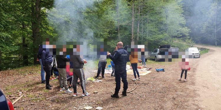 Petrecăreţi amendaţi de jandarmii argeşeni. Făceau grătar în zone neautorizate