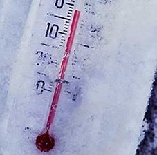 Recomandări de la DSP ARGEȘ