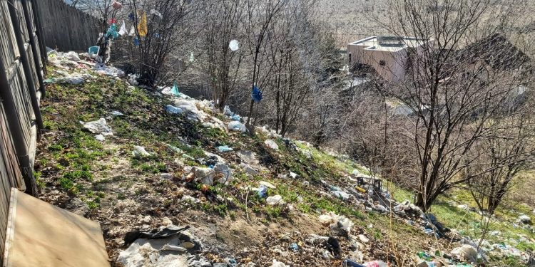 Primarul Cristian Gentea propune majorarea impozitului pe clădiri și terenuri neîngrijite cu 500%