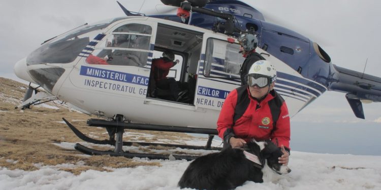 Stagiu pentru câinii de avalanșă în Argeș