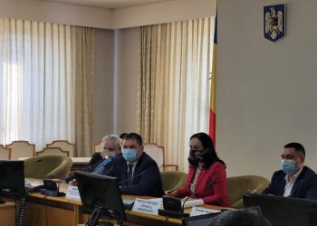 Ministrul Dezvoltării, dialog cu membrii Comisiei pentru Administrație Publică și Amenajarea Teritoriului condusă de Simona Bucura Oprescu