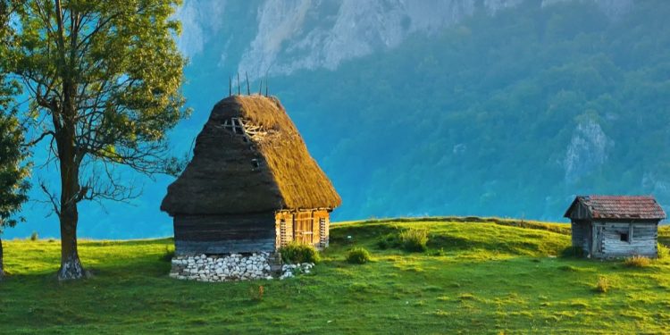 PSD Argeș, acțiuni de ecologizare în mai multe localități din județ