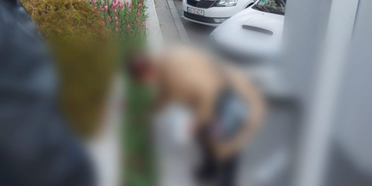 Amendată pentru că rupea bulbi de lalele