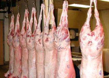 Spații autorizate pentru vânzarea mieilor, în piețele din Pitești