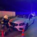 Căprioară lovită mortal de o mașină la Bălilești