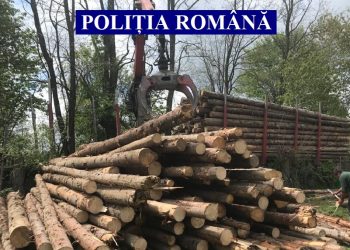 Transporta lemne cu aviz expirat!
