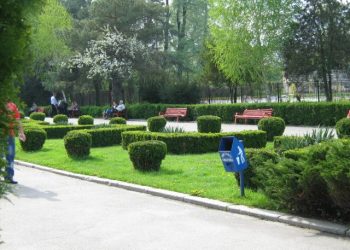 De marți, 1 iunie, este deschisă zona de picnic în Parcul Ștrand!