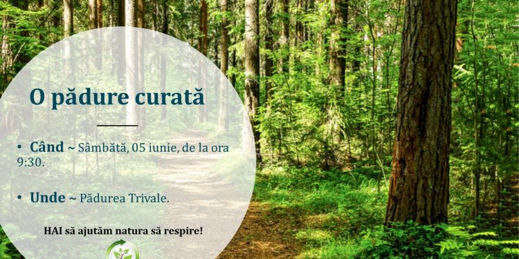 Adient Trim Pitești sărbătorește Ziua Mediului printr-o nouă acțiune de voluntariat, în parteneriat cu Primăria Pitești