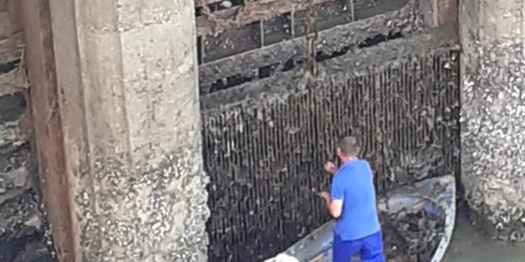 Lucrări de curățare la Barajul Budeasa