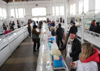 Micii fermieri care au vândut laptele în piață nu beneficiază de ajutorul de Covid de 232,3 lei/tonă