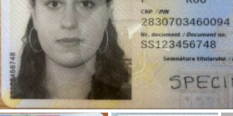 Simona Bucura Oprescu : Pierderea treptată a fundamentelor naționale este parte din agenda pe termen lung a actualului Guvern