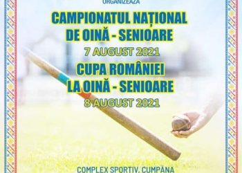 Maraton competițional pentru echipa de oină a CS Dacia Mioveni 2012