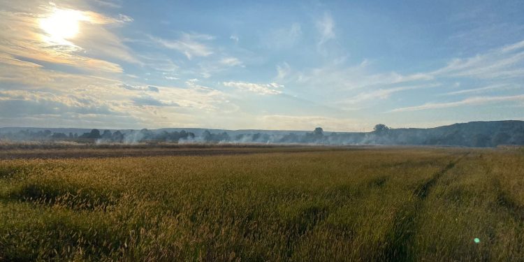 Mioveni: Atenţie la arderile de mirişti şi vegetaţie uscată!