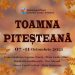 Toamna Piteșteană, ediția a XV-a!