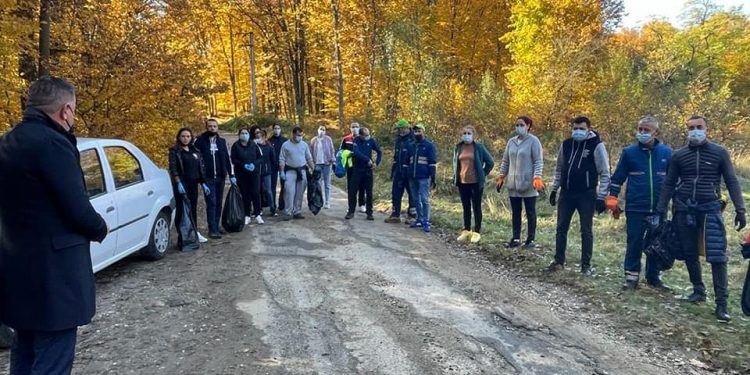 Acțiune de ecologizare în Pitești, zonele Balotești, Grigorești și pădurea Trivale