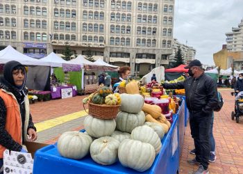 S-a deschis Toamna Piteșteană