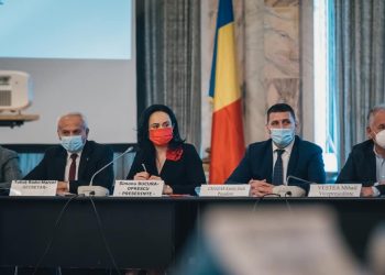 Deputatul de Argeş Simona Bucura-Oprescu a condus şedinţa de audiere a lui Cseke Attila