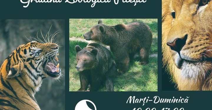 Grădina Zoologică din Pitești a trecut la programul de iarnă