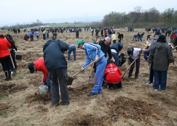 Acțiune de plantare la Mioveni!