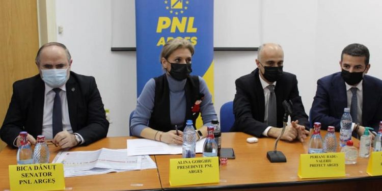 Alina Gorghiu: Voi lua la pas fiecare organizație din județ