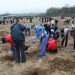 Acțiune de plantare la Mioveni