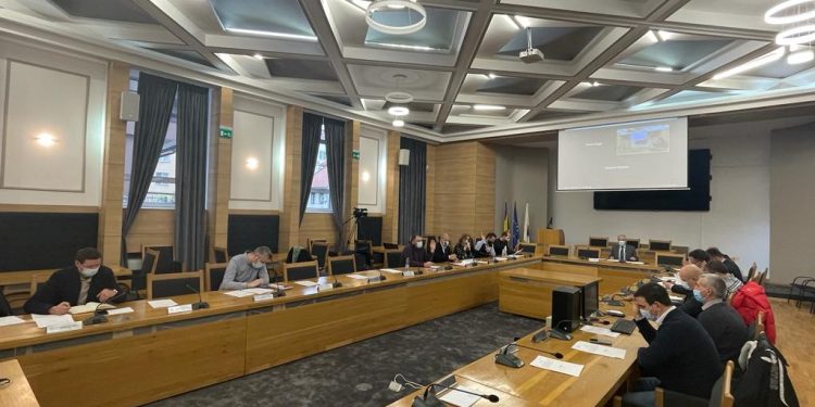 Consiliul Local Pitești, reunit în ședință extraordinară