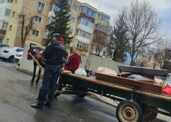 Poliția Locală, amenzi pentru căruțașii din Pitești