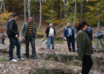 Bărbat în stare gravă după ce a căzut un copac peste el, în Argeș