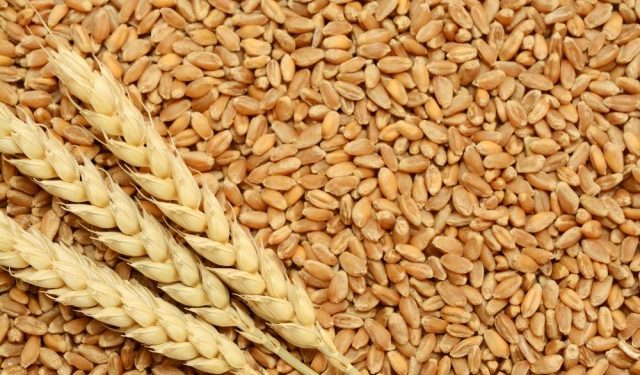 Criza alimentară va bubui după atacul Rusiei: prețurile produselor agricole au explodat pe bursă