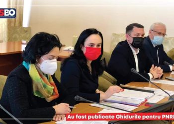 Simona Bucura-Oprescu: Au fost publicate Ghidurile pentru PNRR!